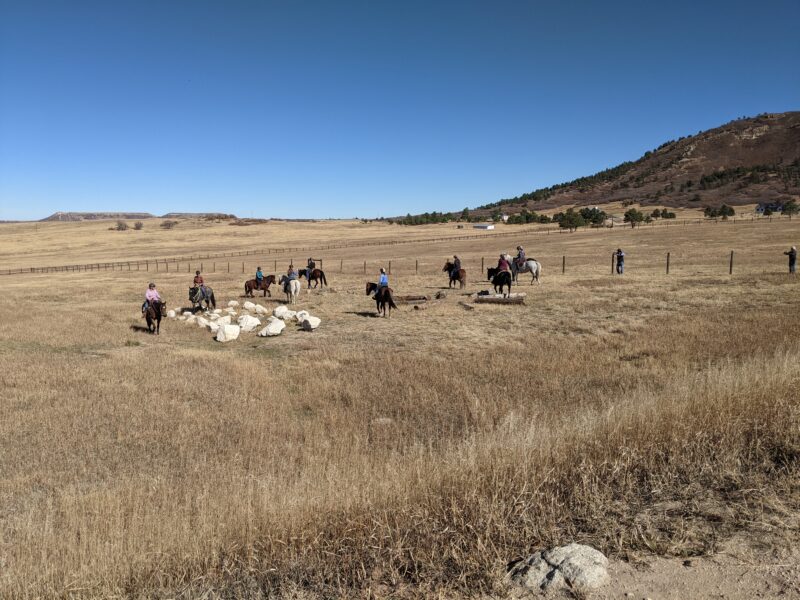 Horse Ranch - WZ Ranch